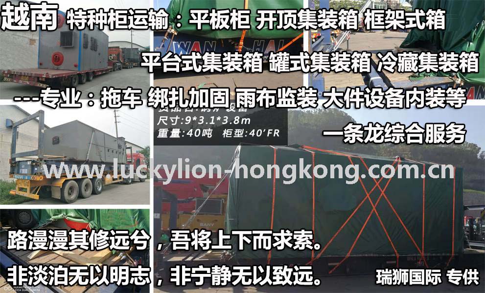 越南貨貨運代理 越南國際物流公司  越南進出口報關(guān)公司 越南國際貨運代理有限公司
